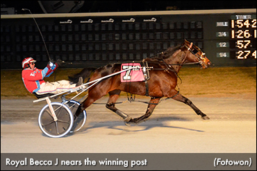 Royal Becca J Repeats At Dover