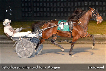 Bettorhaveanother Scores At Dover
