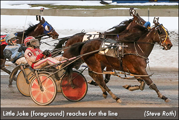 Little Joke Endures Long Trip, Wins