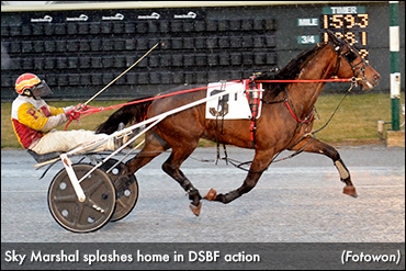 Sky Marshal Soars In Dover Stakes
