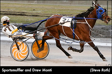 Sportsmuffler Silences Buffalo Mares
