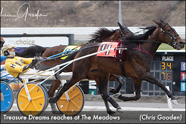 'Dreams' Best In Meadows Series