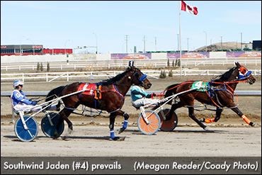 Southwind Jaden Wires Century Pacers