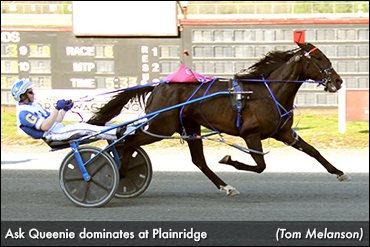 Ask Queenie Strikes Again At Plainridge