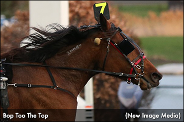Bop Too The Top Reaches At London
