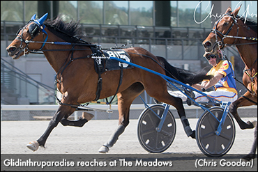 Glidinthruparadise Upsets At Meadows