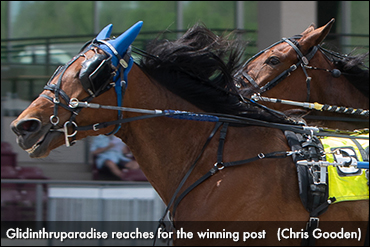 Glidinthruparadise Duels, Prevails Again