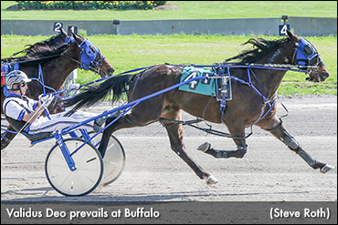 Validus Deo Stalks, Upsets At Buffalo