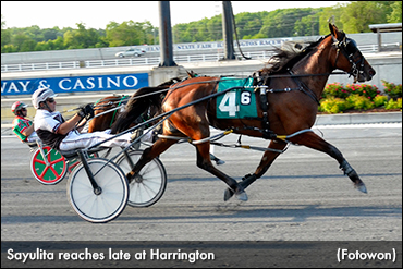 Sayulita Surges, Upsets At Harrington