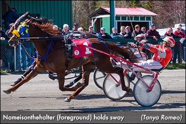 Nameisonthehalter Repeats At Northside