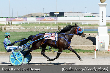Thats It Wires Century Mares