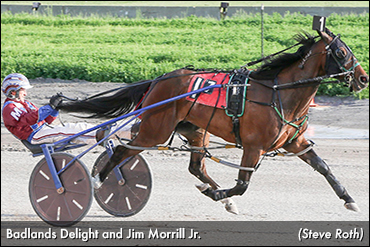 Badlands Delight Best At Buffalo