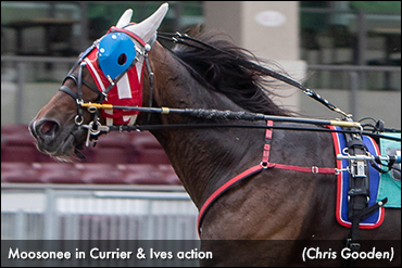 Hambo Hopefuls Win Currier & Ives