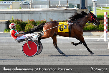 Theresademoninme Best At Harrington