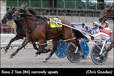 Ilana Z Tam Shocks In Stallion Series