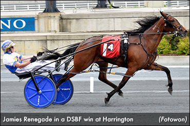 Jamies Renegade Scores In DSBF Debut