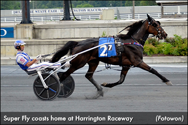 Super Fly, Deja Vu Blue Win In Delaware