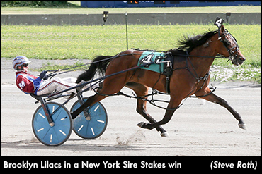Freshman Fillies Contest Buffalo NYSS