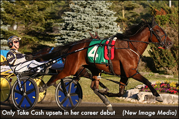 Only Take Cash, 'Shadow' Prevail