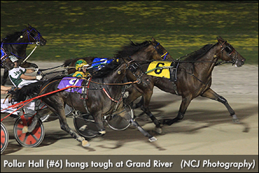 Major Upset For Pollar Hall