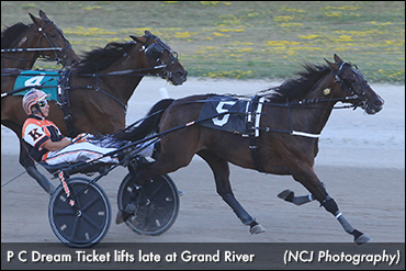 P C Dream Ticket Upsets In Elora