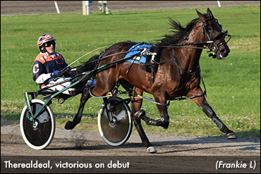 Therealdeal Leads Atlantic Fillies