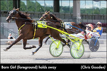 Barn Girl Dominates, Five For Palone