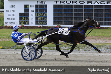 Faves Sweep Stanfield Splits