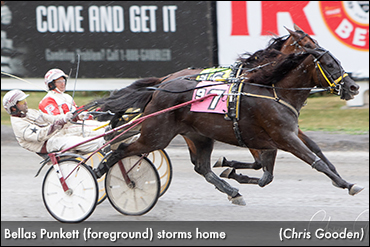 Bellas Punkett Wins Meadows Debut