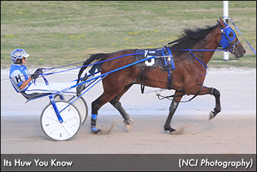 'Huw', Mach Magic Best In Elora