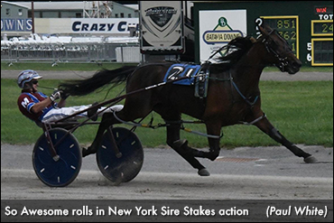 Sire Stakes Stunner For So Awesome 