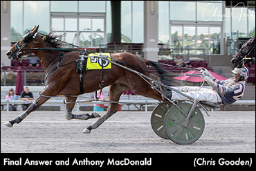 Final Answer Breaks Maiden At Meadows