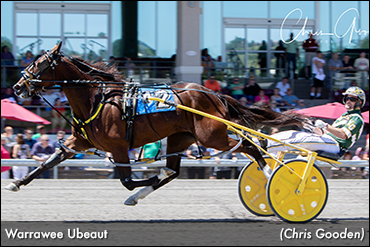 'Ubeaut' Tries To Stay Perfect