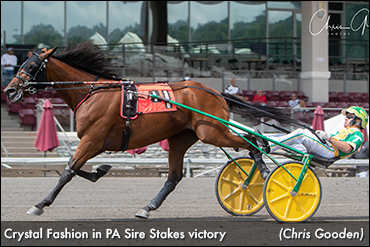 Meadows Record For Crystal Fashion