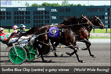 'Sunfire' Gutsy Winner At Philly