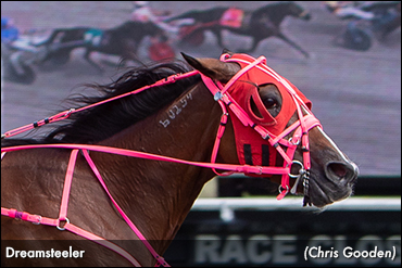 Dreamsteeler Best; Five For Palone