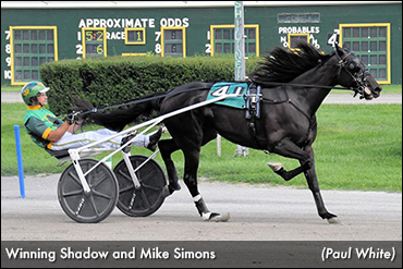Records Galore For Winning Shadow