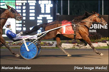 'Hannelore' Aims For Repeat, 'Marauder' For Home Win