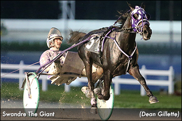 Seven-Figure Sale For Trotting Colt