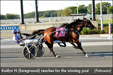 Kaitlyn N Wins Harrington Return