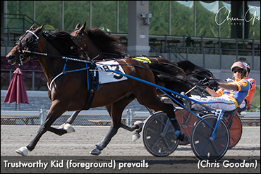 Trustworthy Kid Steadfast At Meadows