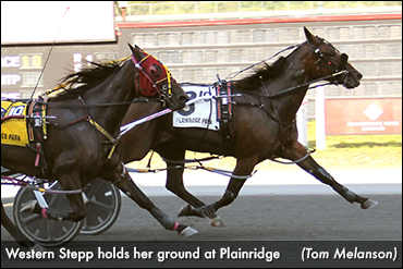Western Stepp Back In Top Form