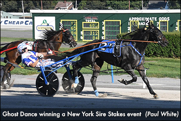 Ghost Dance, Ideal Feeling Lead NYSS