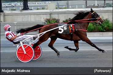 Majestic Mistress Repeats At Harrington