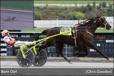 Barn Girl Rebounds, Wins Meadows Trot