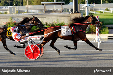 Three Straight For Majestic Mistress