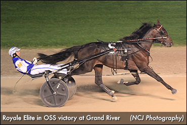 Fourth Sires Stakes Win For Royale Elite