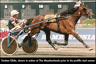 Yankee Glide Retired From Stud