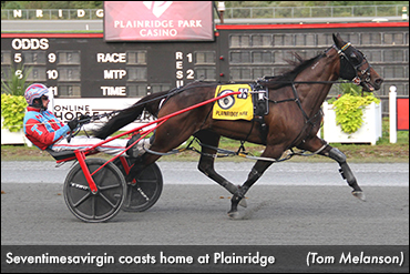 Seventimesavirgin, Campbell In Spotlight
