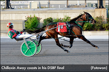 Delaware Rookies In Harrington Spotlight